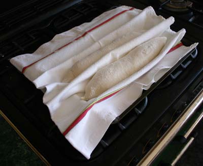 Two baguettes proving on a cloth