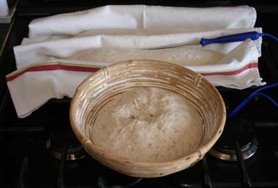Dough proving in the basket