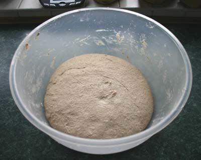 The dough in the bowl after proving