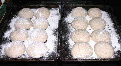 The sixteen balls on the floured baking sheets