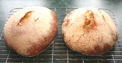 The loaves fresh from the oven
