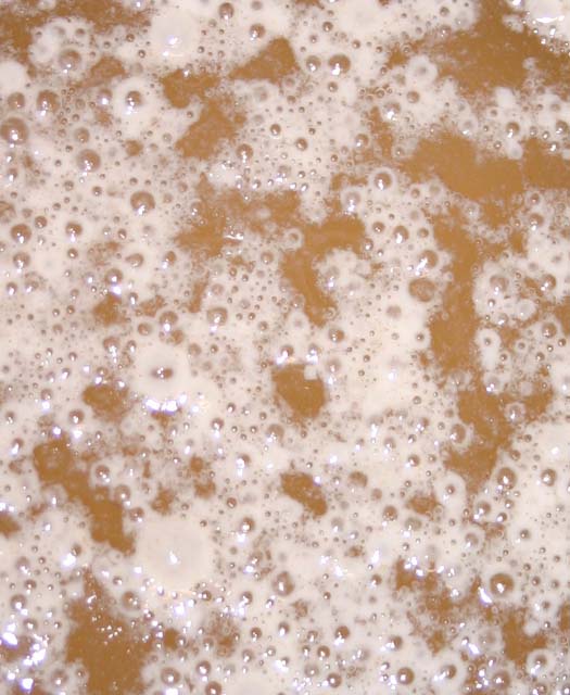 The Worsop Sourdough Starter - closeup of bubbles